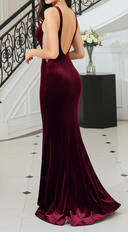 Ginevra Burgundy Velvet Gown back view on model