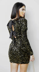 Éloria Velvet Sequin Long Sleeve Mini Dress - Black