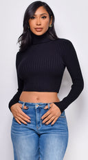 Astraia Basic Turtle Neck Crop Ribbed Sweater Top in Black back view on model