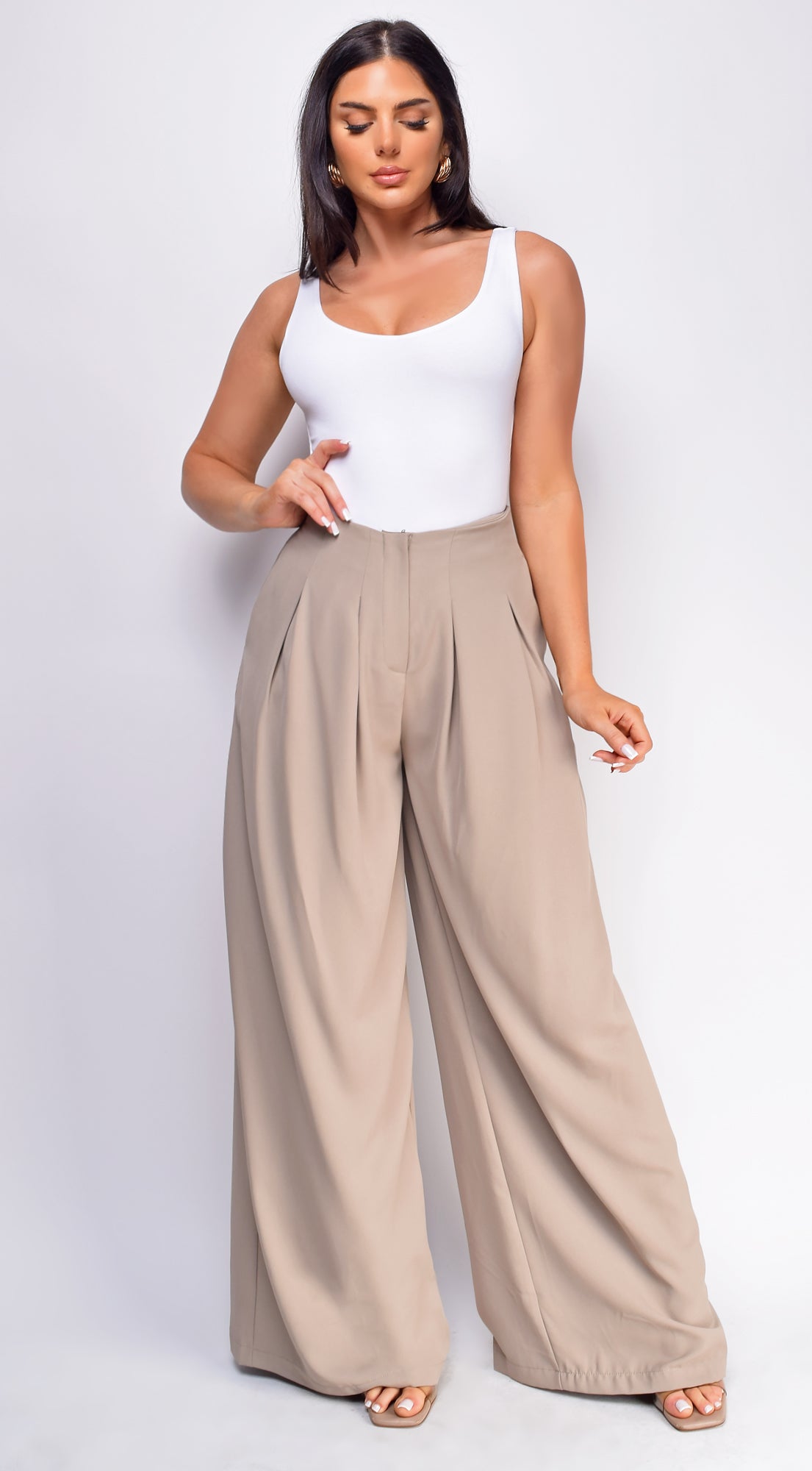 Suri Beige Wide Pleated Wide Leg Pants