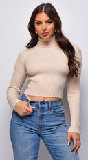 Astraia Basic Turtle Neck Crop Ribbed Sweater Top in Beige full length front view on model