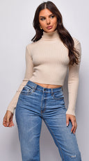 Astraia Basic Turtle Neck Crop Ribbed Sweater Top in Beige back view on model