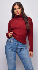 Gisella Cable Knit Turtle Neck Sweater Top in Burgundy full length front view on model