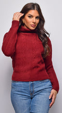 Gisella Cable Knit Turtle Neck Sweater Top in Burgundy back view on model