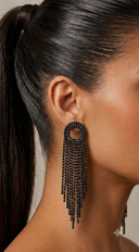 Fine Shine Rhinestone Fringe Earrings - Black