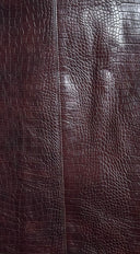 Vireza Croc Embossed Mini Skirt - Brown