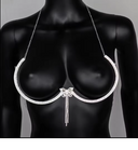 Celestia Butterfly Crystal Bra Chain - Silver