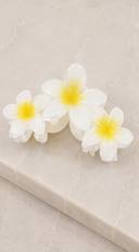 Tropical Plumeria Flower Claw Clip - White