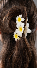 Tropical Plumeria Flower Claw Clip - White