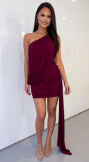 Ophira One Shoulder Draped Mesh Dress - Burgundy
