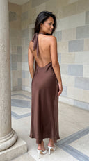 Mocha Muse Polka Dot Satin Maxi Dress - Brown