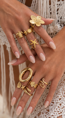 Marina Seashell 9 Piece Ring Set - Gold