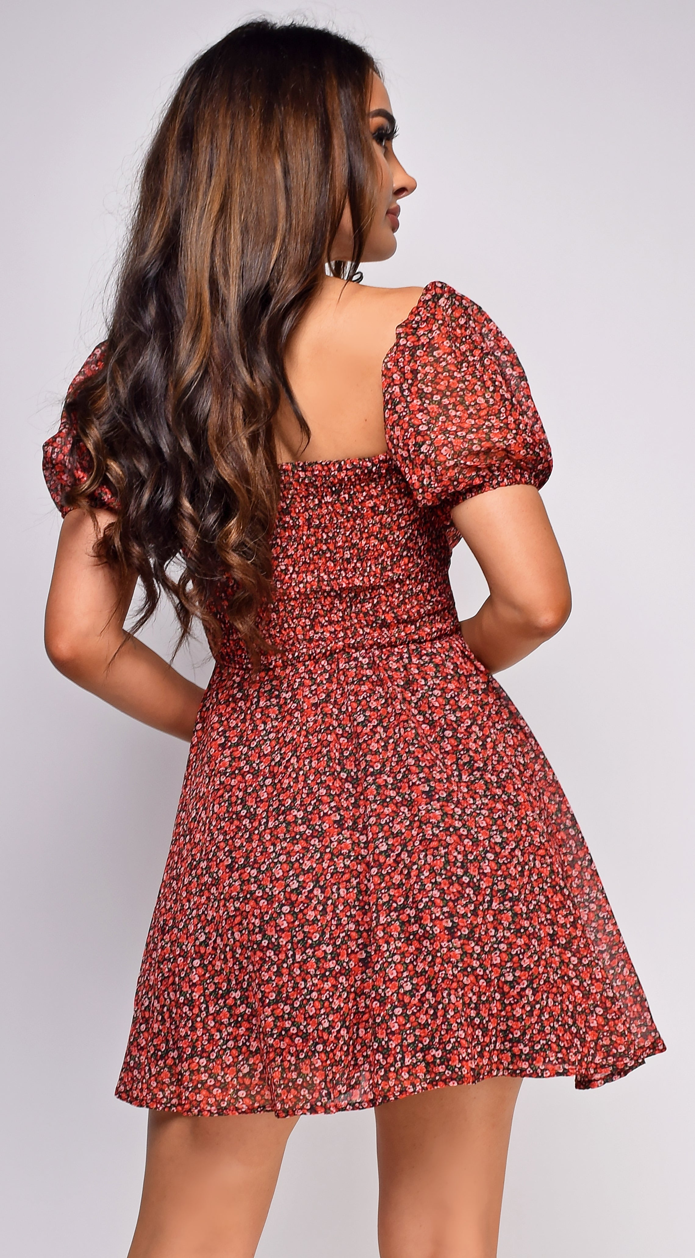 Talia Red Burgundy Floral Skater Dress