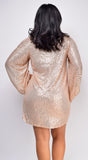 Renata Gold Sequin Dress