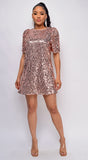 Renee Rose Gold Sequin Dress