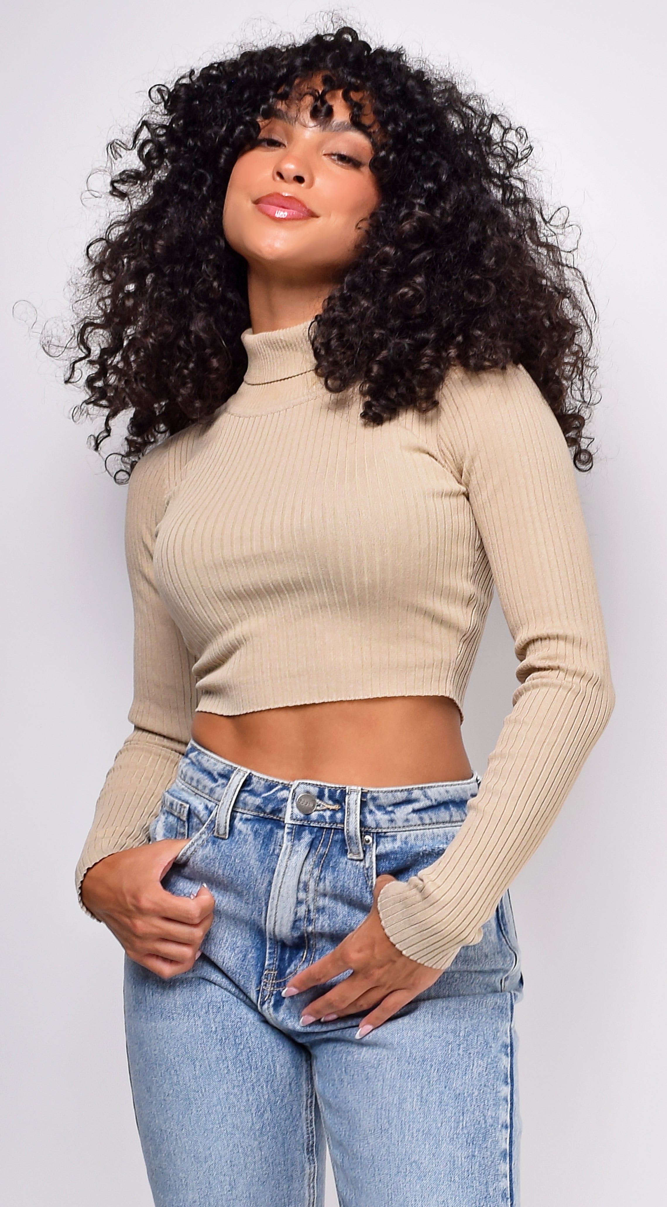 Amani Beige Ribbed High Neck Crop Sweater Top