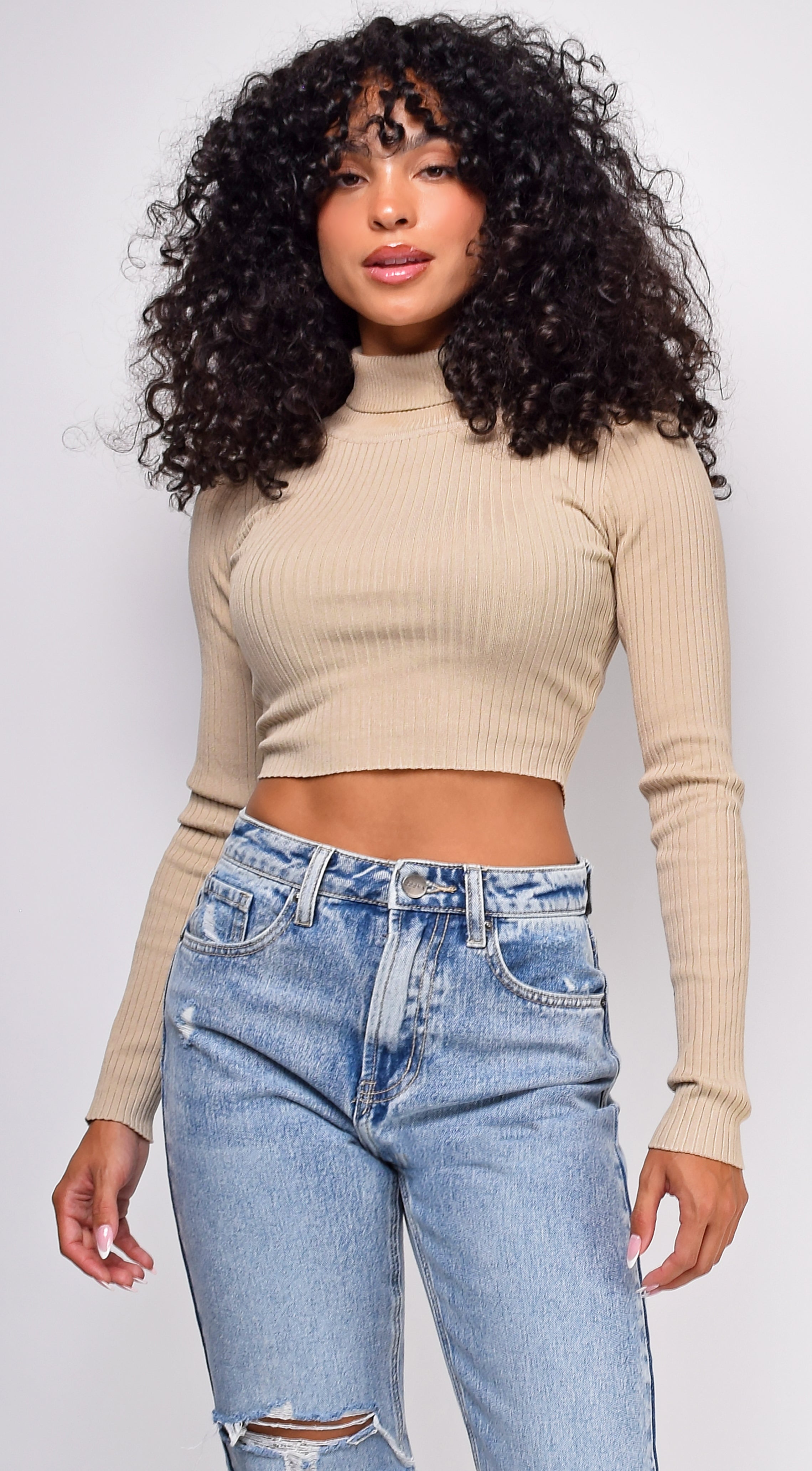 Amani Beige Ribbed High Neck Crop Sweater Top