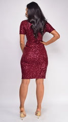 Shelby Burgundy Red Sequin Mini Dress