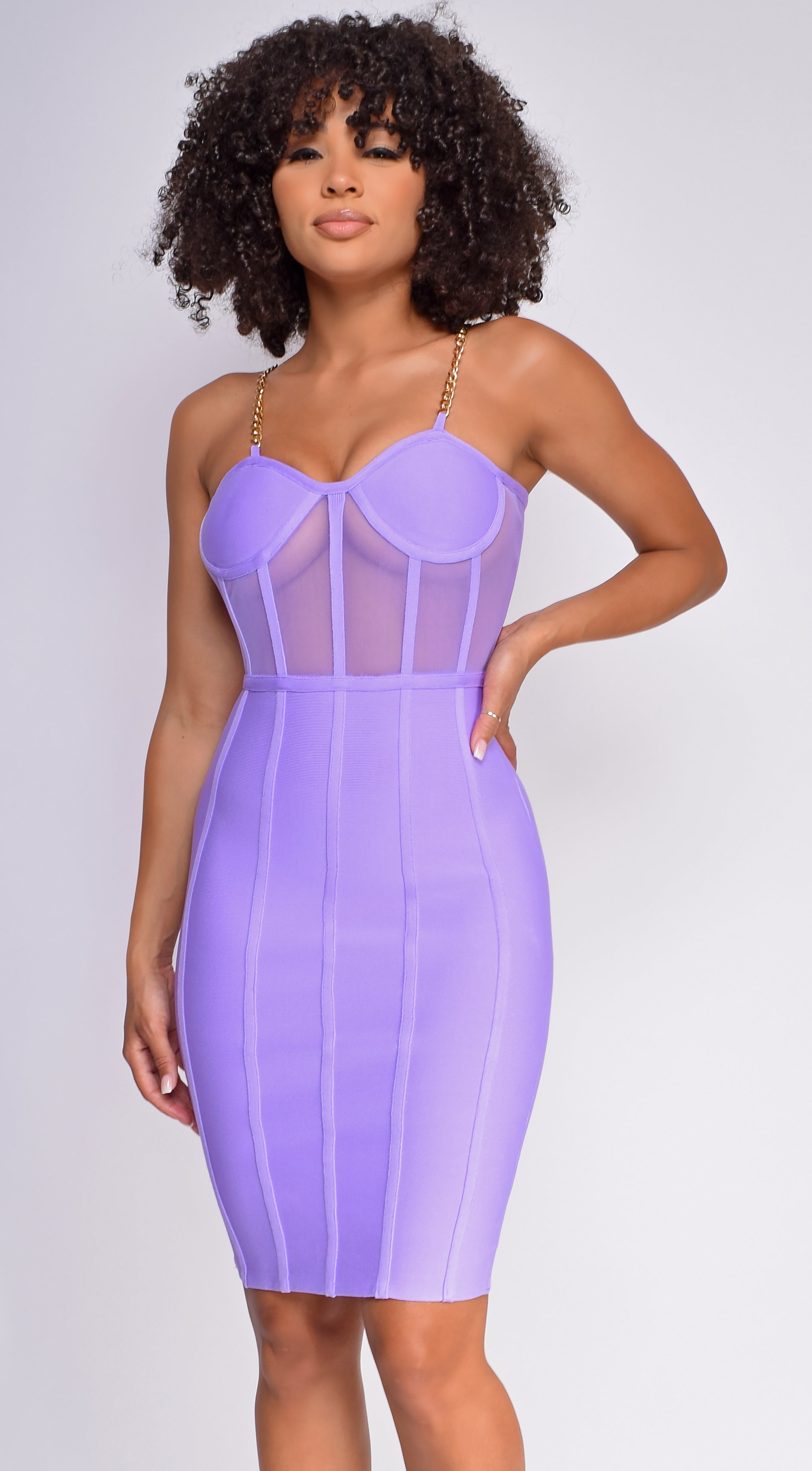 Lorelei Purple Bandage Bustier Mesh Midi dress